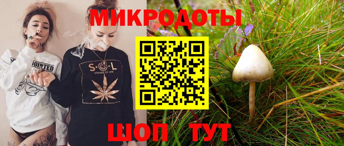 Галлюциногенные грибы прущие грибы  Вход с VPN  Галлюциногенные грибы прущие грибы  Ирбит 